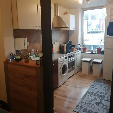 公寓 Naehe Phoenixsee 多特蒙德